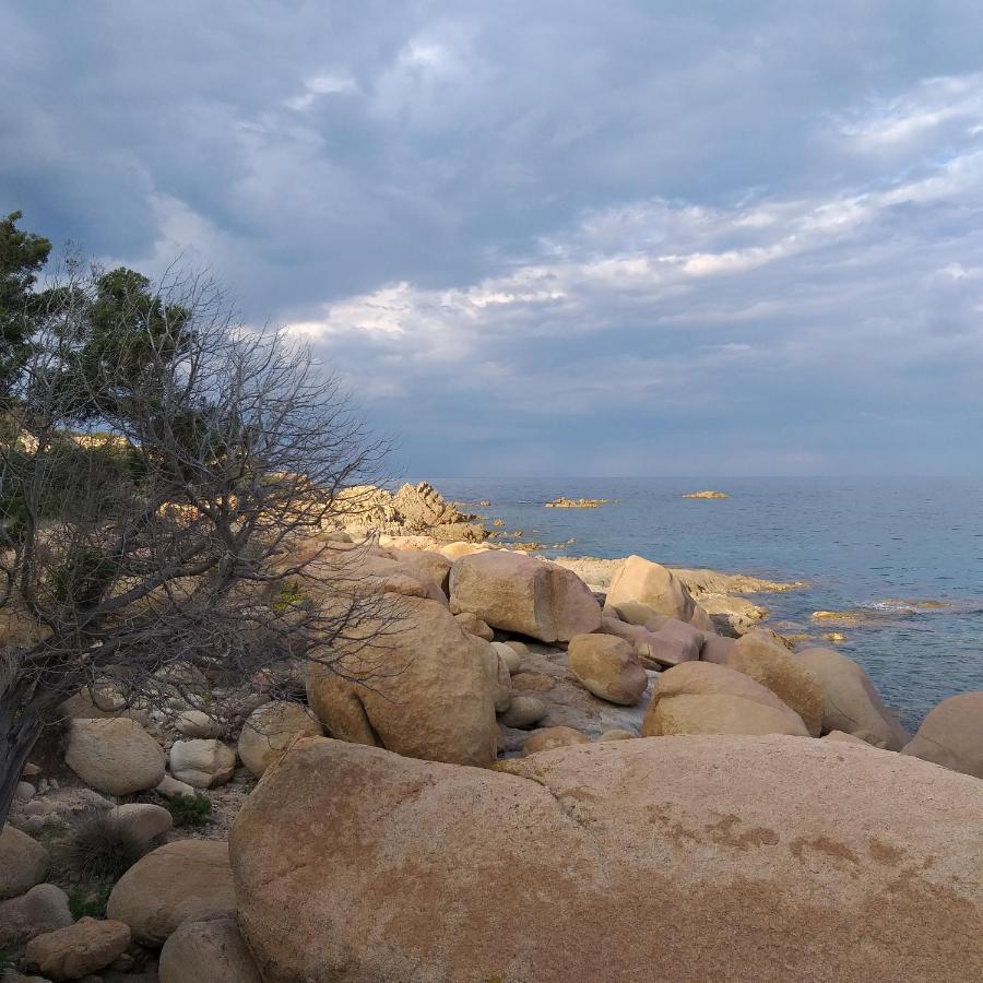 Agriturismo Funtan'Arva Loculi Екстер'єр фото